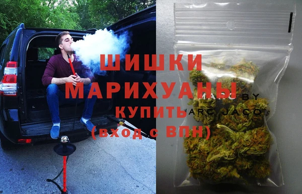 гидра Балахна