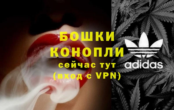 гидра Балахна