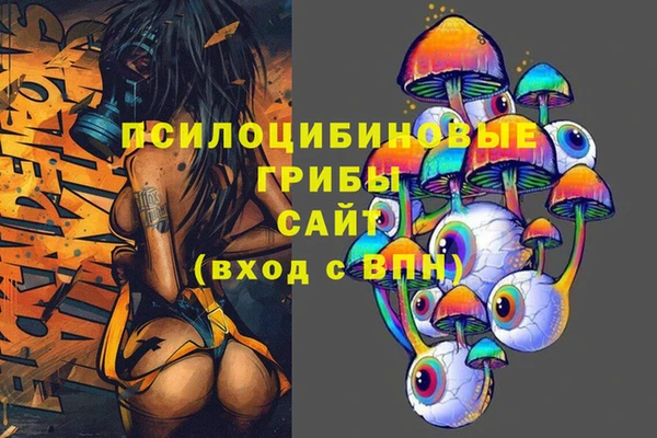 кокс Баксан