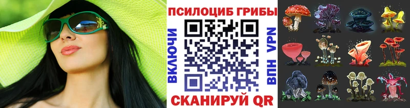 Галлюциногенные грибы прущие грибы даркнет формула Боготол